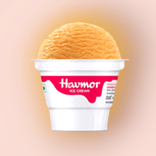 Alphonso Mango Ice Cream Cups Havmor GambhoiMart