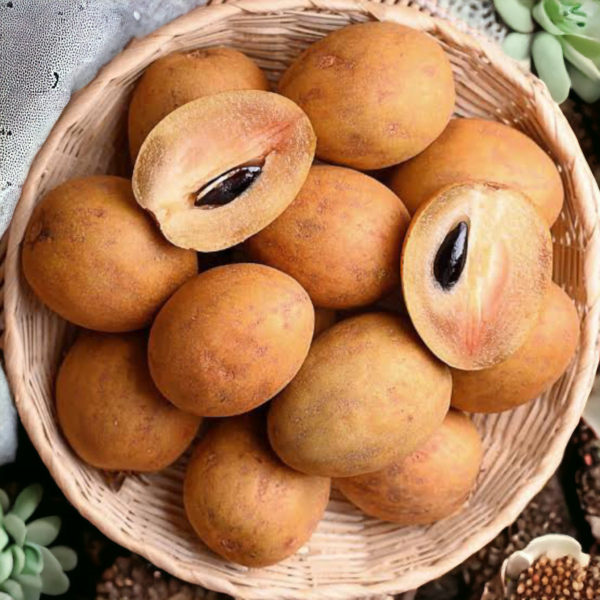 Chikoo | Sapota Fruit Fruit from Kinjal Fruits Gambhoi Mart